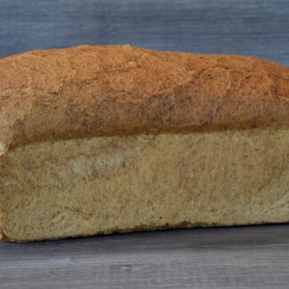 Pan bruin
